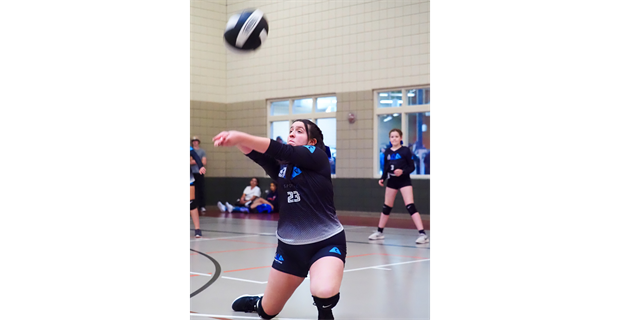 Volleyball
